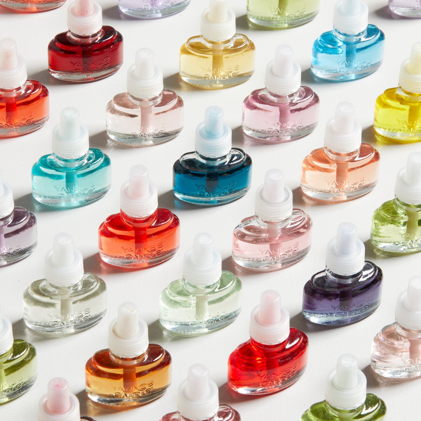 Lilac Blossoms