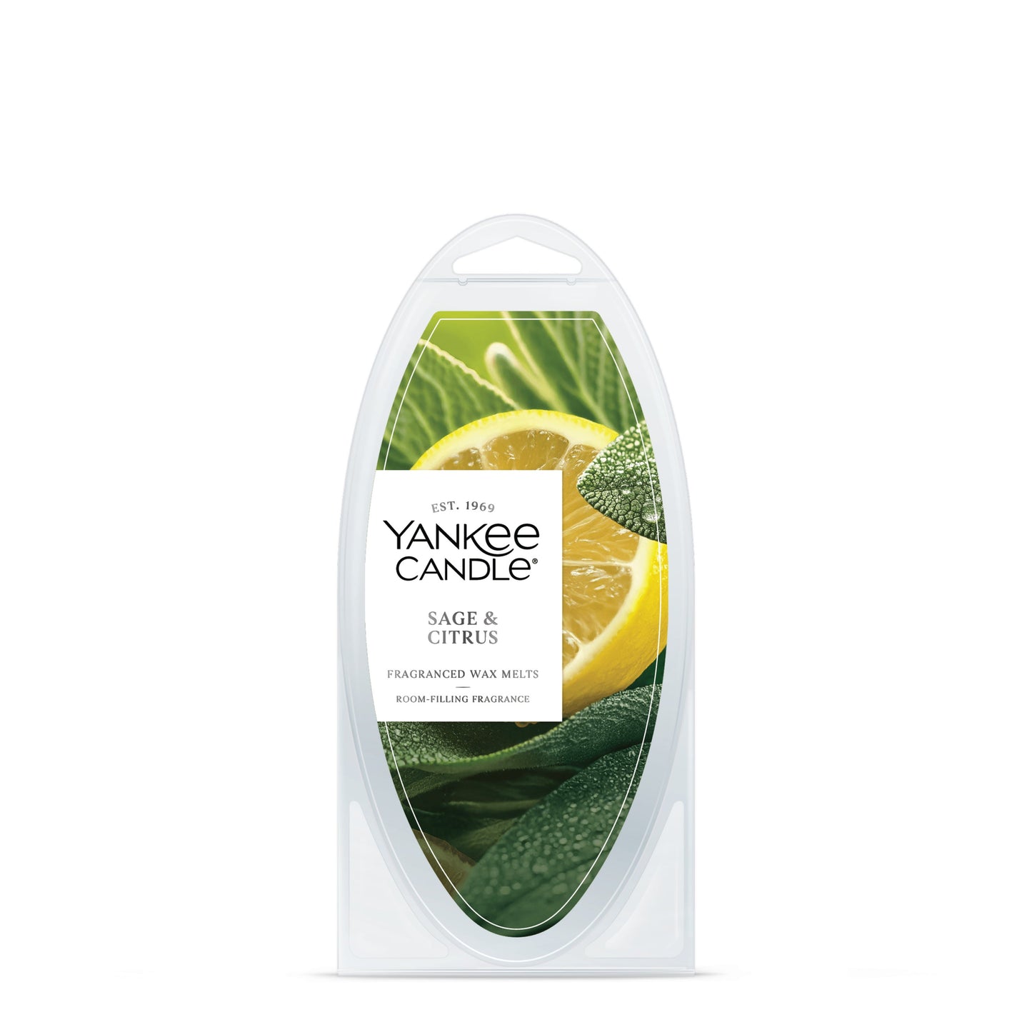 Sage & Citrus Wave 6-0875