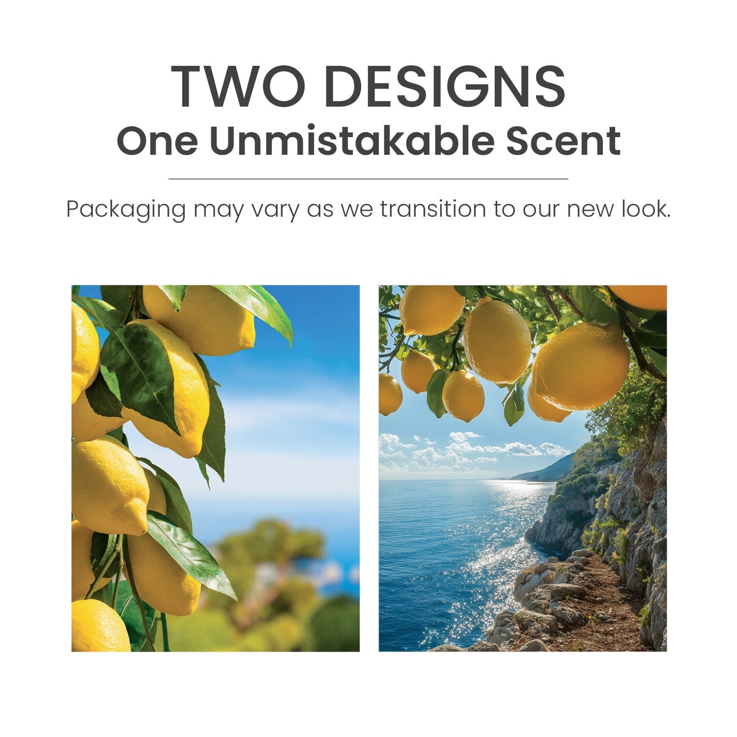 Sicilian Lemon