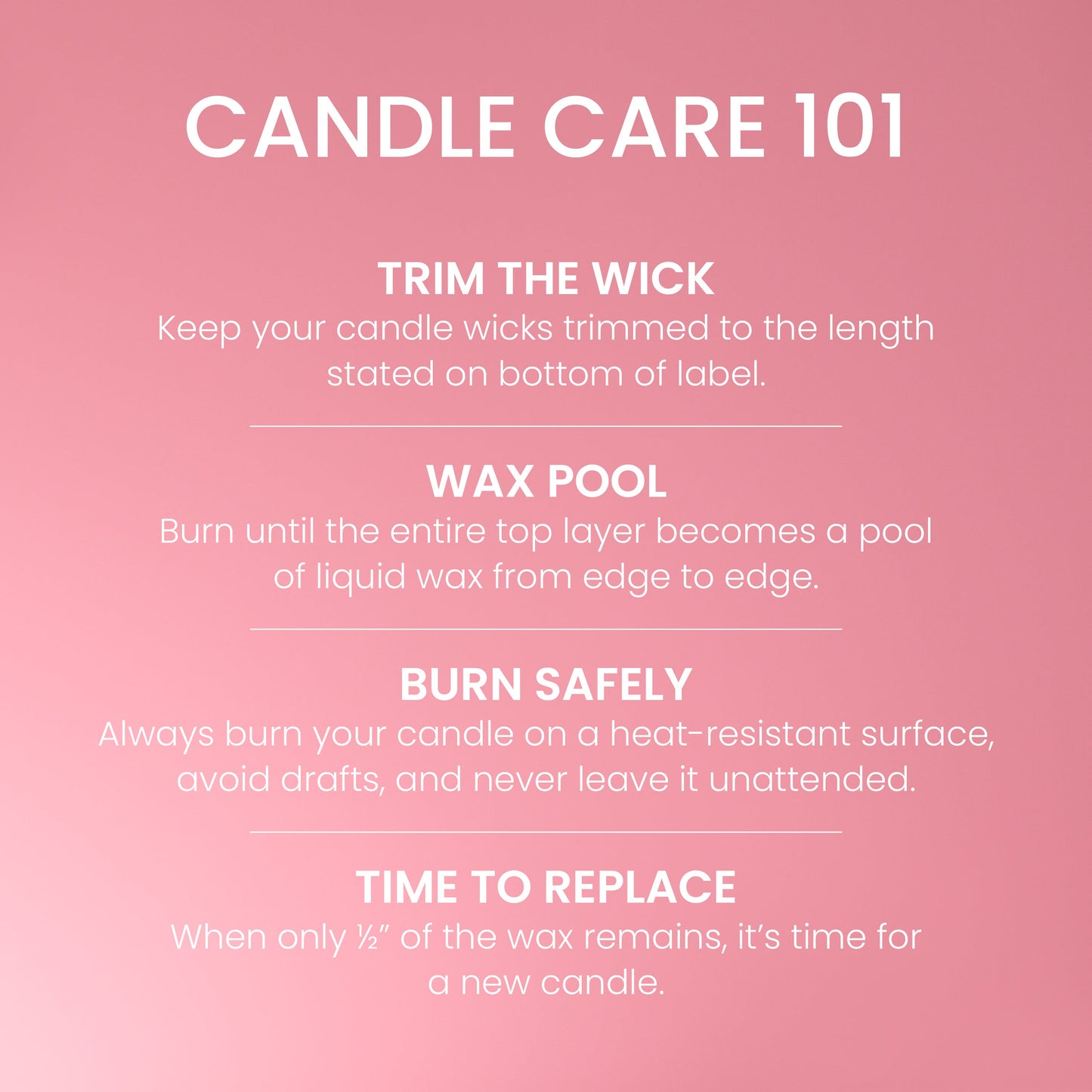 Enchanting Cherry Blossoms