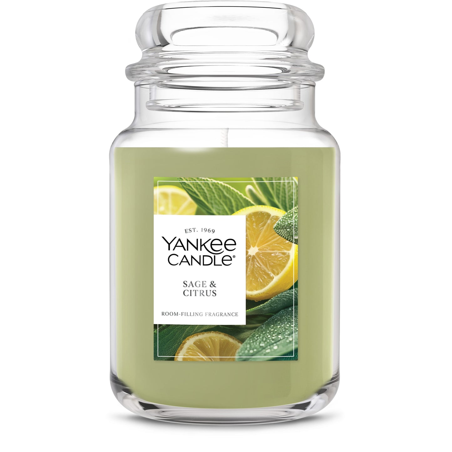 Sage & Citrus Wave 6-0875