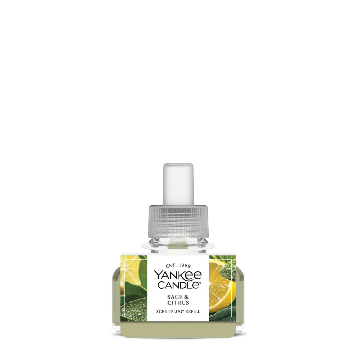 Sage & Citrus Drop 6-0349