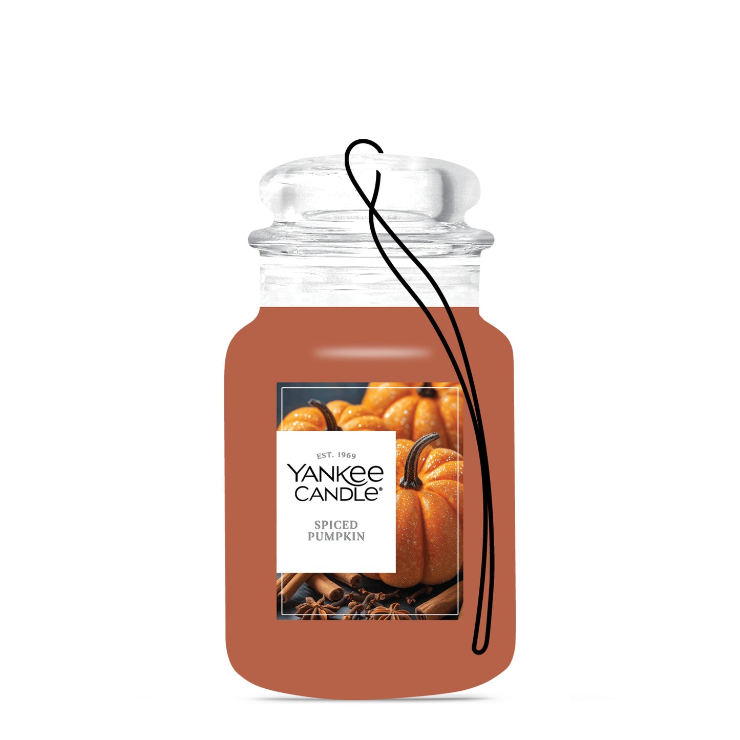 Spiced Pumpkin Daily 6-0292